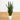 3' UV Resistant Artificial Sansevieria Plant in White Decorative Planter (Indoor/Outdoor)