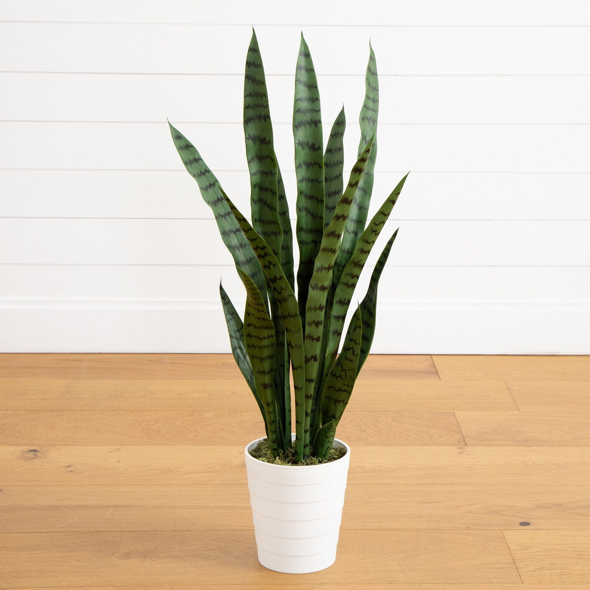 Artificial Snake Plant (70cm) 4