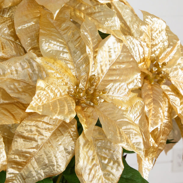 30” Artificial Grand Gold Velvet Poinsettia Arrangement in Red Wrapped Planter