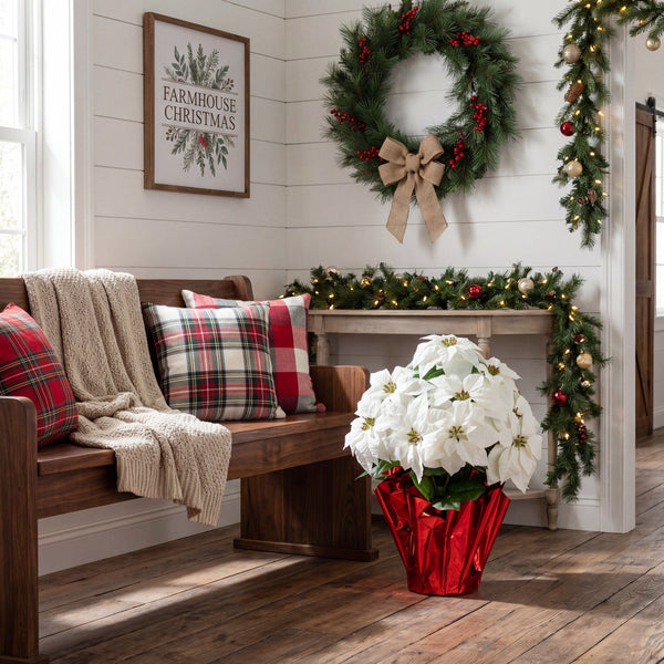 30” Artificial Grand White Velvet Poinsettia Arrangement in Red Wrapped Planter