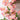 30” Artificial Pink Cherry Blossom Wreath