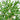30" Artificial Bamboo Tree