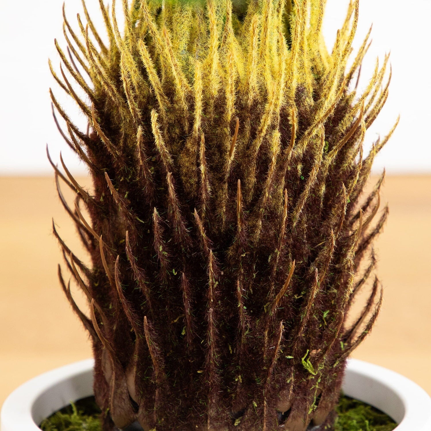 30" UV Resistant Artificial Cycas Palm Tree in White Decorative Planter (Indoor/Outdoor)
