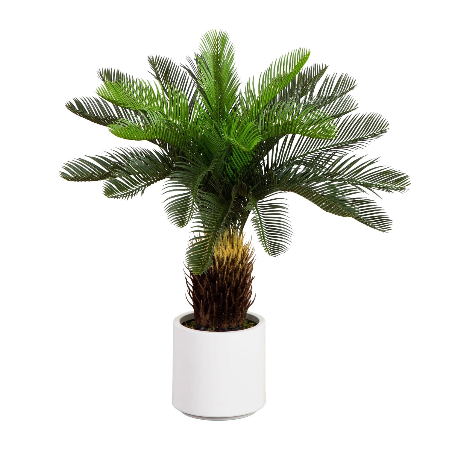 30" UV Resistant Artificial Cycas Palm Tree in White Decorative Planter (Indoor/Outdoor)