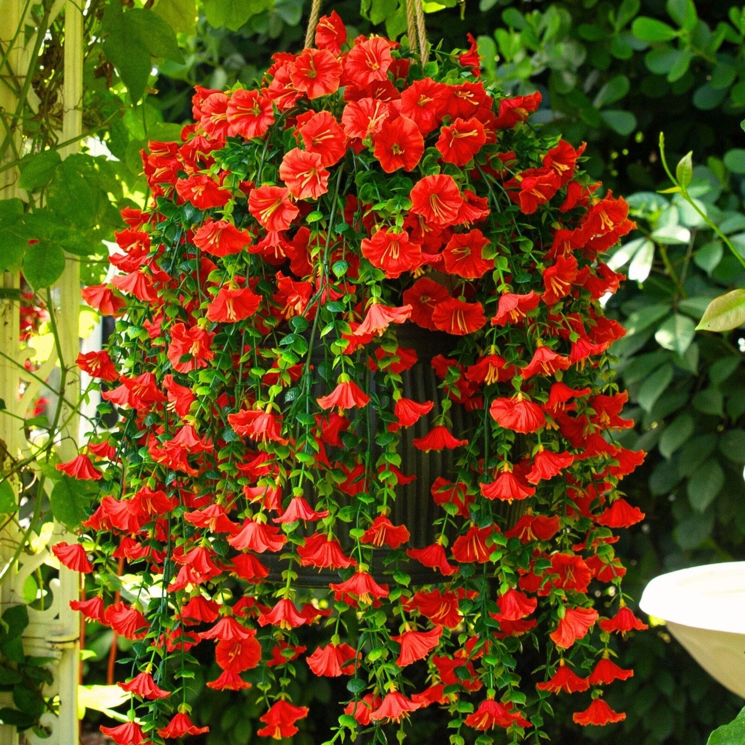 30" UV Resistant Artificial Morning Glory Hanging Plant (Indoor/Outdoor) - Set of 6