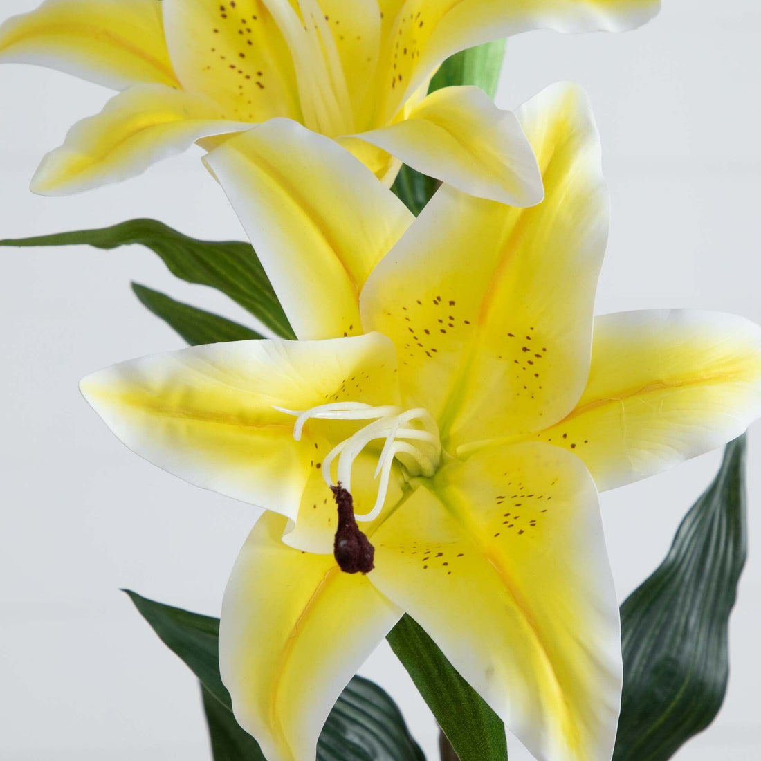 natural lily flower 31" Artificial Lily Flower Stems
