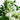 31” Artificial Mixed Flower Arrangement in Hyacinth Weave Basket