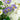 31” Artificial Mixed Flower & Hydrangea Arrangement in Hyacinth Weave Basket