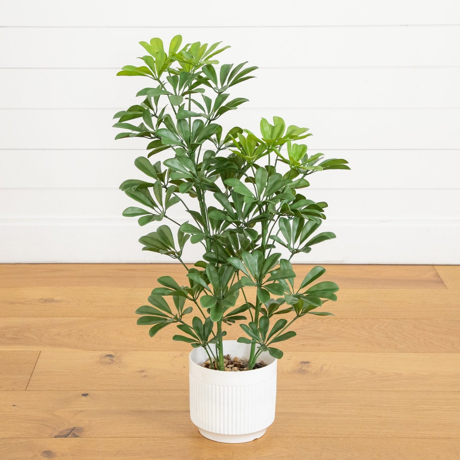 31” UV Resistant Artificial Schefflera Tree in White Decorative Planter (Indoor/Outdoor)