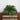 32” Artificial Self-Shaped Boston Fern Plan in Black Planter