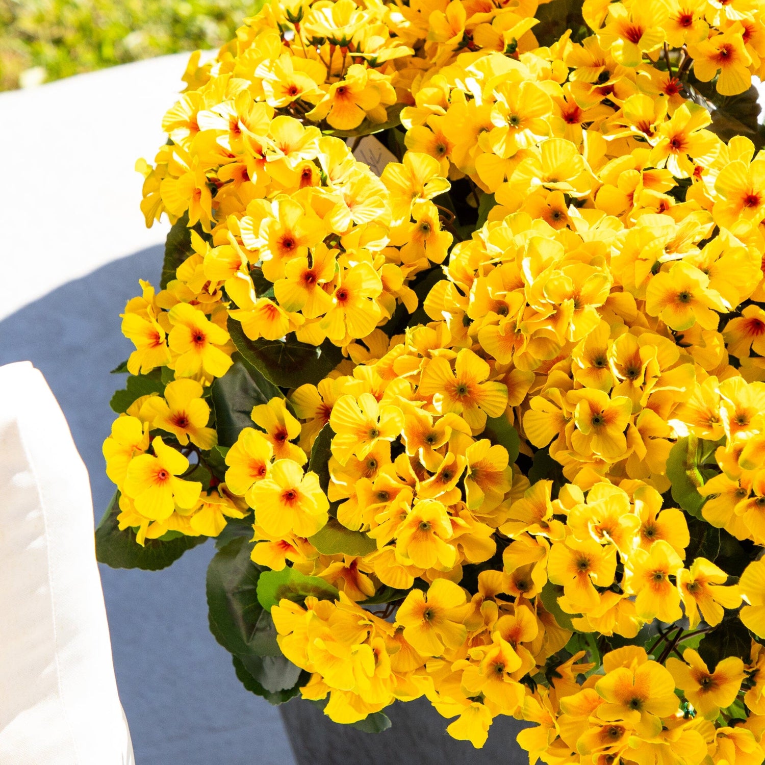 33" UV Resistant Artificial Geranium Plant in Slate Ceramic Planter (Indoor/Outdoor)