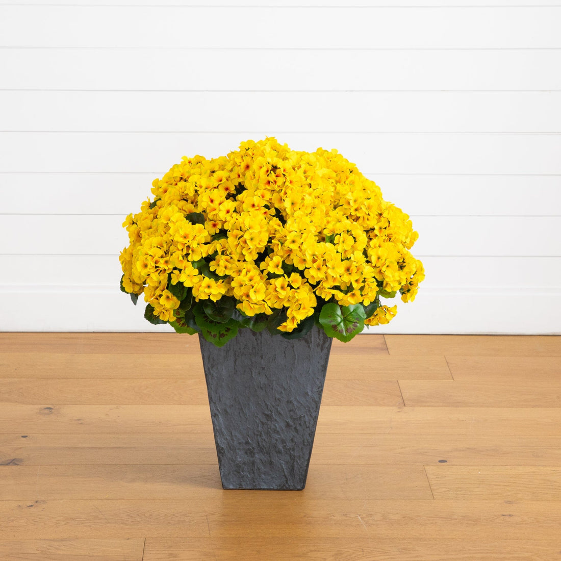 yellow planter indoor 33