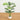 3.5' Artificial Areca Palm Tree in White Round Planter