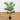 3.5' Artificial Areca Palm Tree