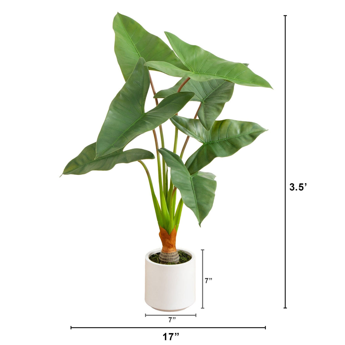 3.5' Artificial Arrowhead Philodendron in White Decorative Planter