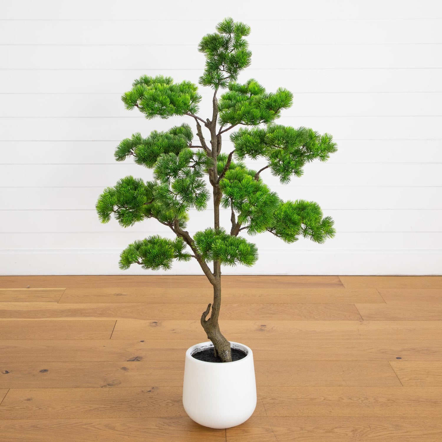 faux bonsai trees 3.5' Artificial Bonsai Style Cedar Tree in Decorative White Planter by Nearly Natural
