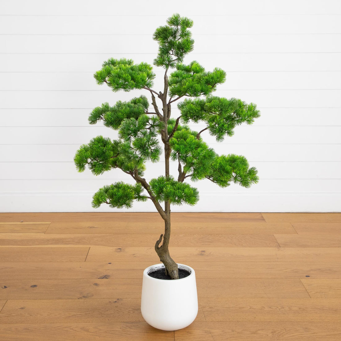 3.5' Artificial Bonsai Style Cedar Tree in Decorative White Planter –  Nearly Natural