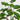 3.5' Artificial Bonsai Style Cedar Tree in Decorative White Planter