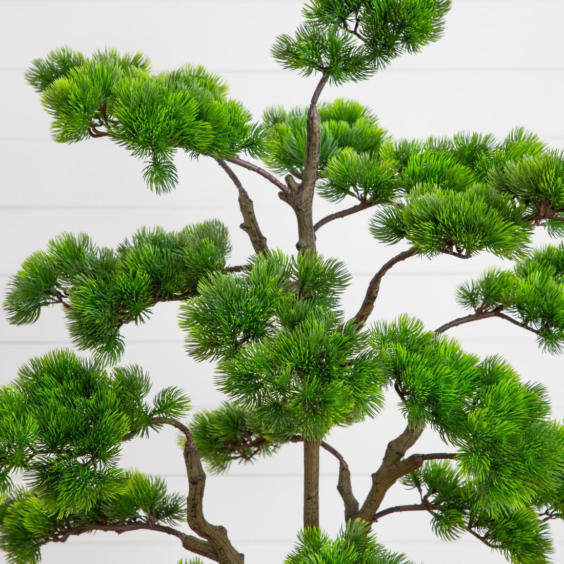bonsai tree with green and white leaves 3.5' Artificial Bonsai Style Cedar Tree in Decorative White Planter – Nearly Natural