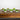 3.5” Artificial Mini Flowering Arrangement in White Decorative Oval Planter - Set of 6