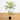 3.5' Artificial Minimalist Jacaranda Tree