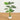 3.5' Artificial Monstera Tree in White Round Planter