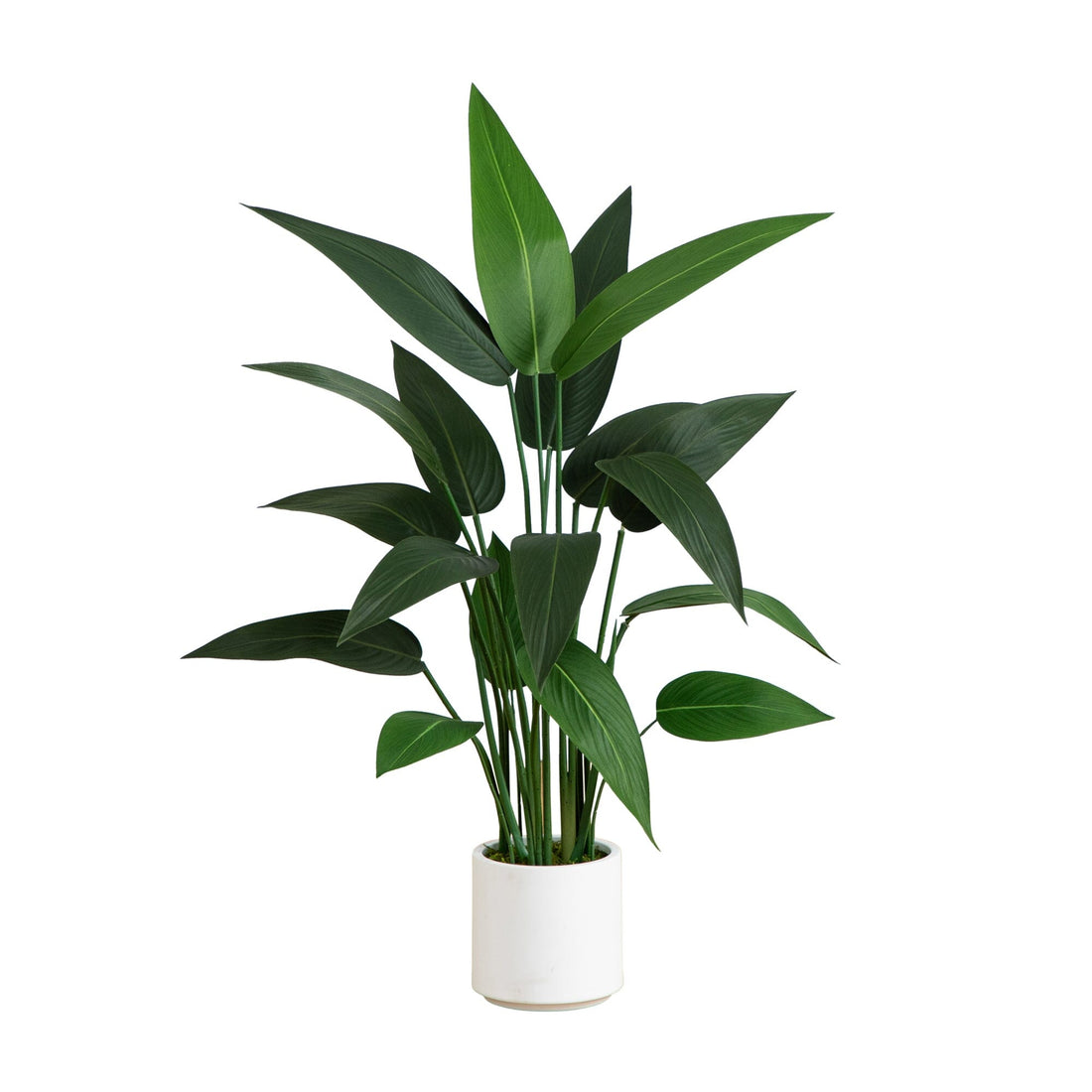 the case of the potted planter cast 3.5' Artificial Sky Bird Tree in White Decorative Planter