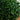 35” Double Boxwood Topiary