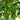 3.5' UV Resistant Artificial Ficus Tree (Indoor/Outdoor)