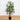 3.5' Twiggy Bamboo Tree