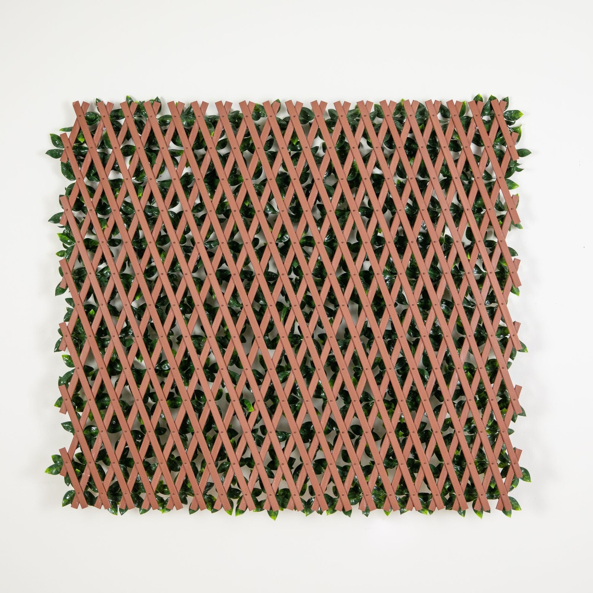 36” x 72