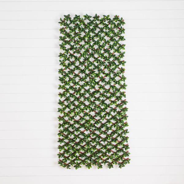 36” x 72" UV Resistant Artificial Gardenia Expandable Privacy Fence Screen (Indoor/Outdoor)