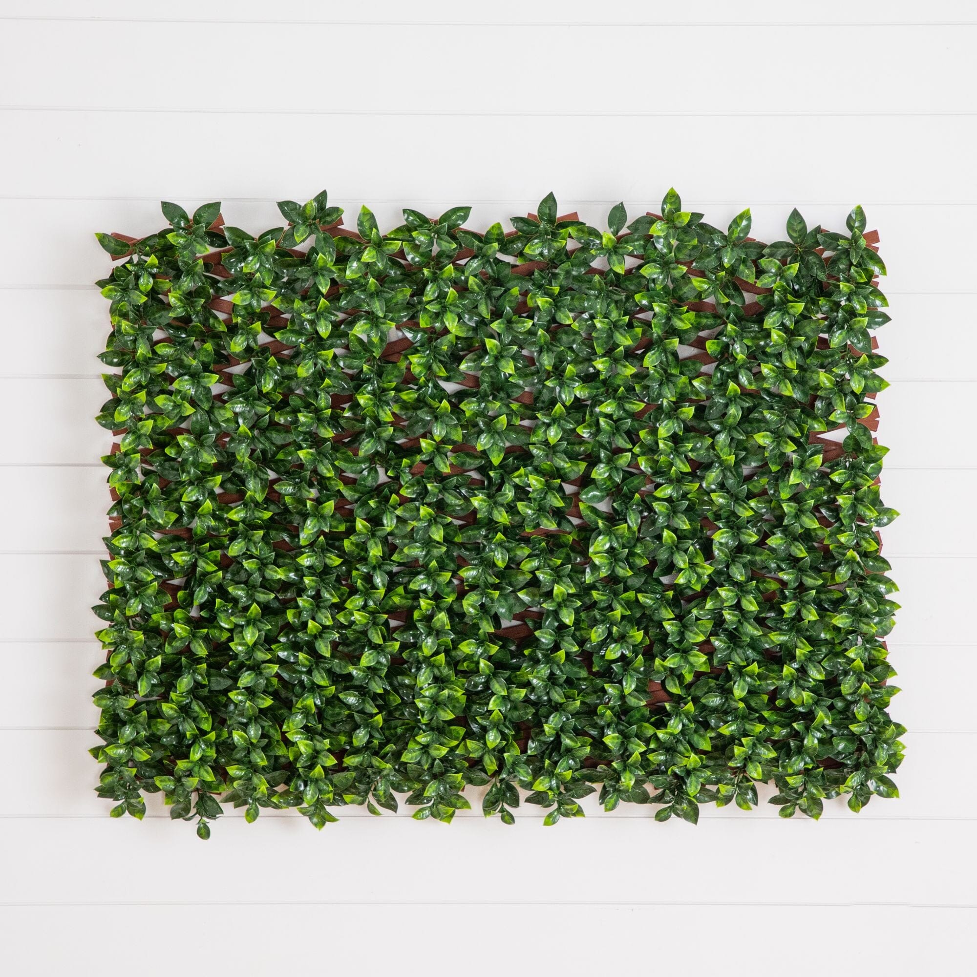 36” x 72