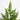 38” Artificial Real Touch Cypress Christmas Tree