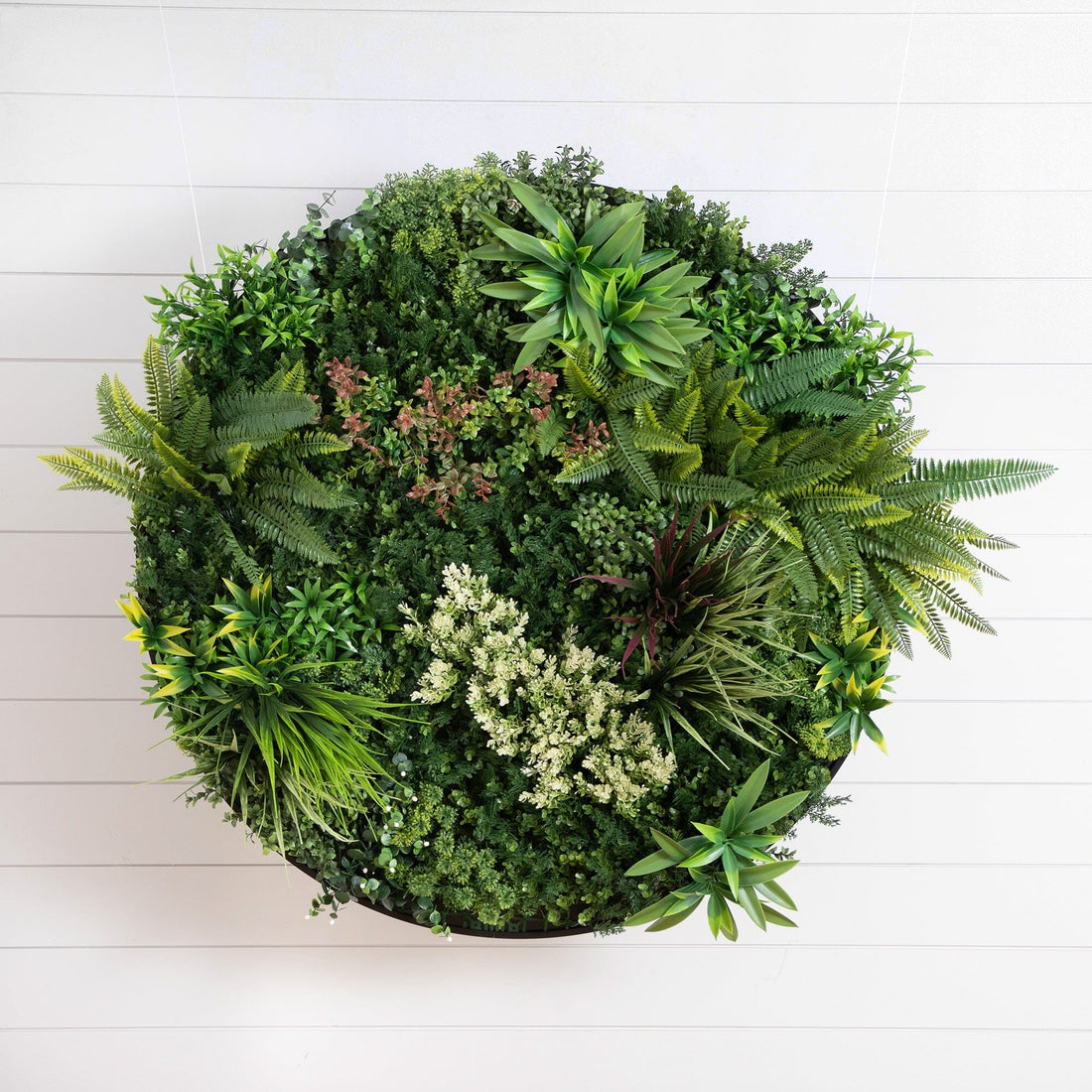 amazon succulent wall planter 38” UV Resistant Amazon Rainforest Artificial Living Wall Art Panel in Black Aluminum Frame