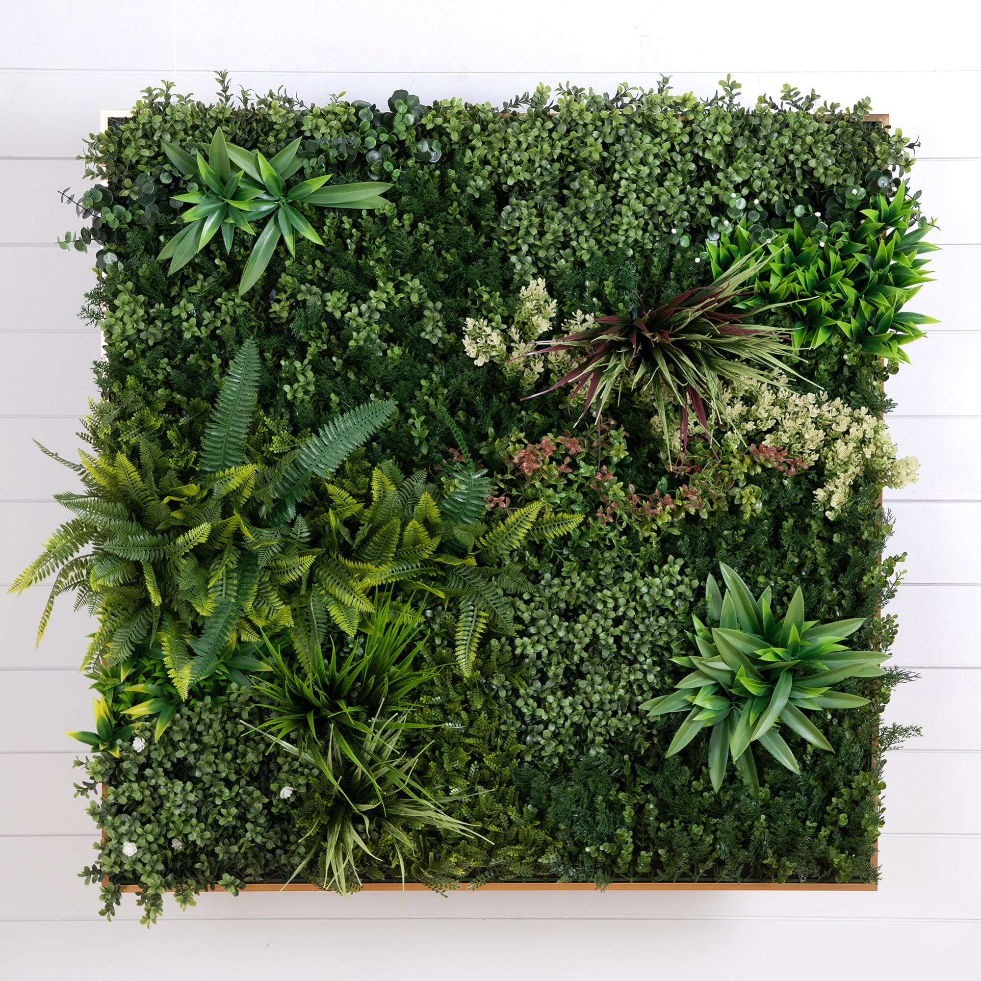木製漆器アートパネル　GARDEN（ガーデン) 38” x 38” UV Resistant Madagascar Forest Artificial Living Wall