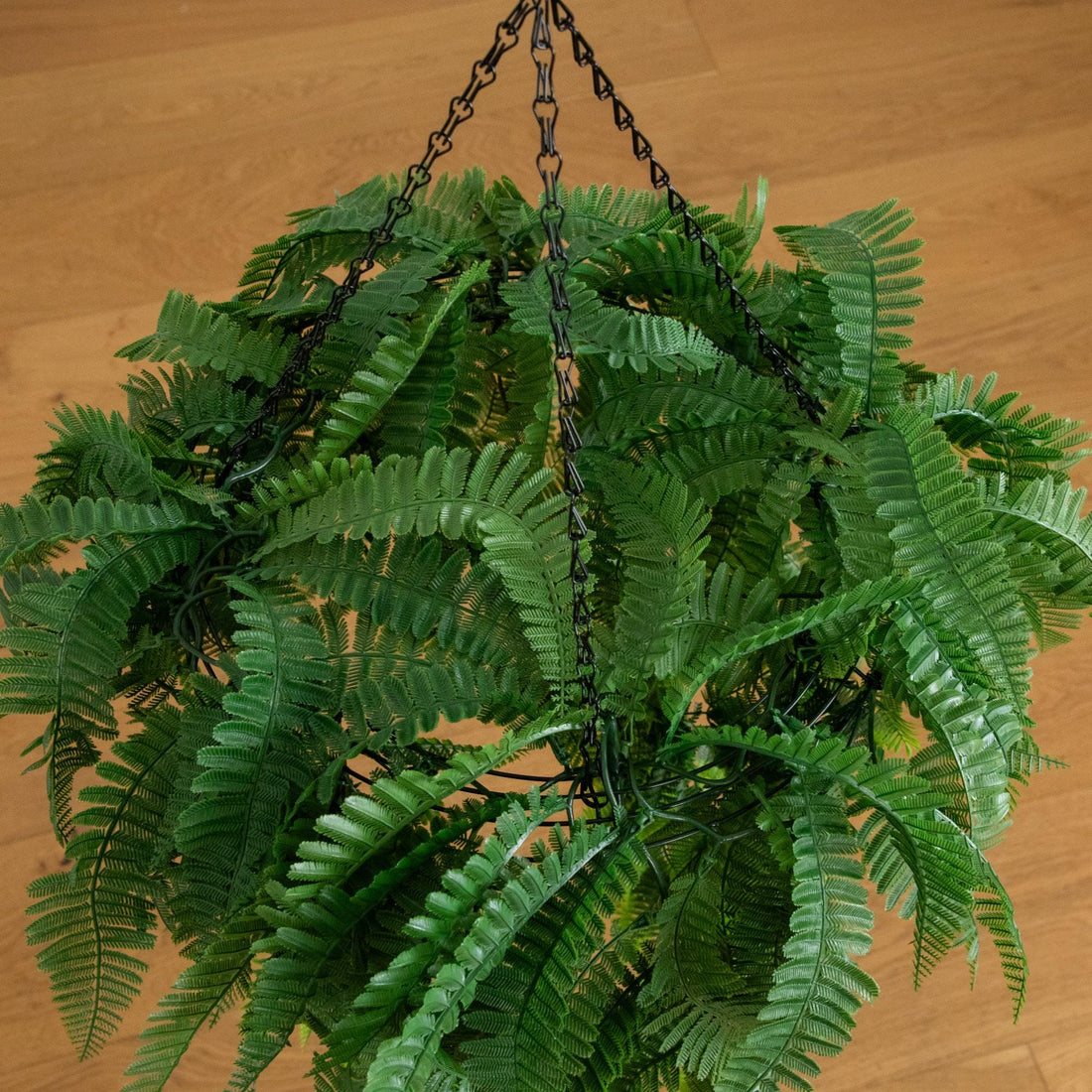 planting hanging ferns 39” UV Resistant Artificial Mixed Ferns Plant in Hanging Ring (Indoor/ –  Nearly Natural