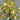 3' Pre-Lit Artificial Easter Egg Twig Tree with Greens and 40 Warm White LED Lights
