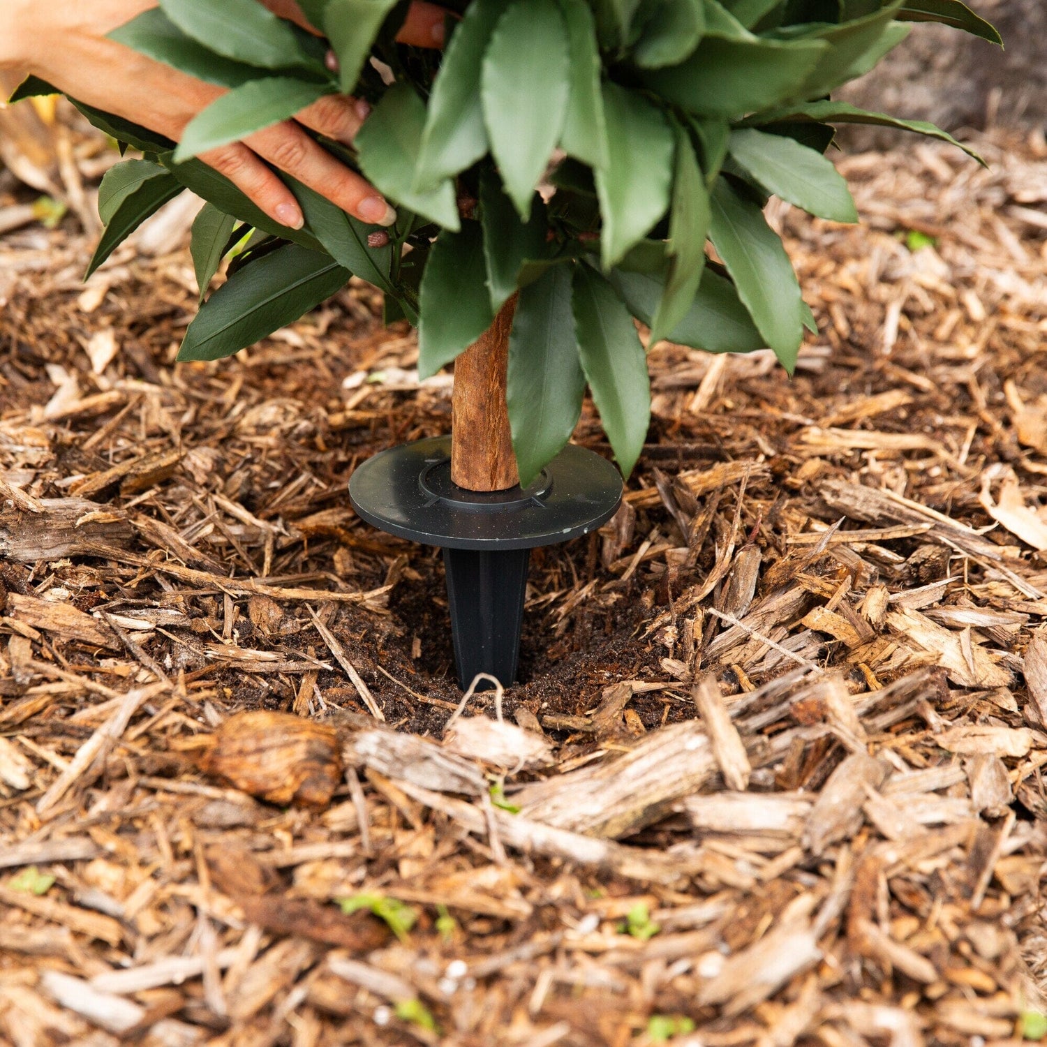 3' UV Resistant Artificial Laurel Plant with Integrated Ground Stake (Indoor/Outdoor)