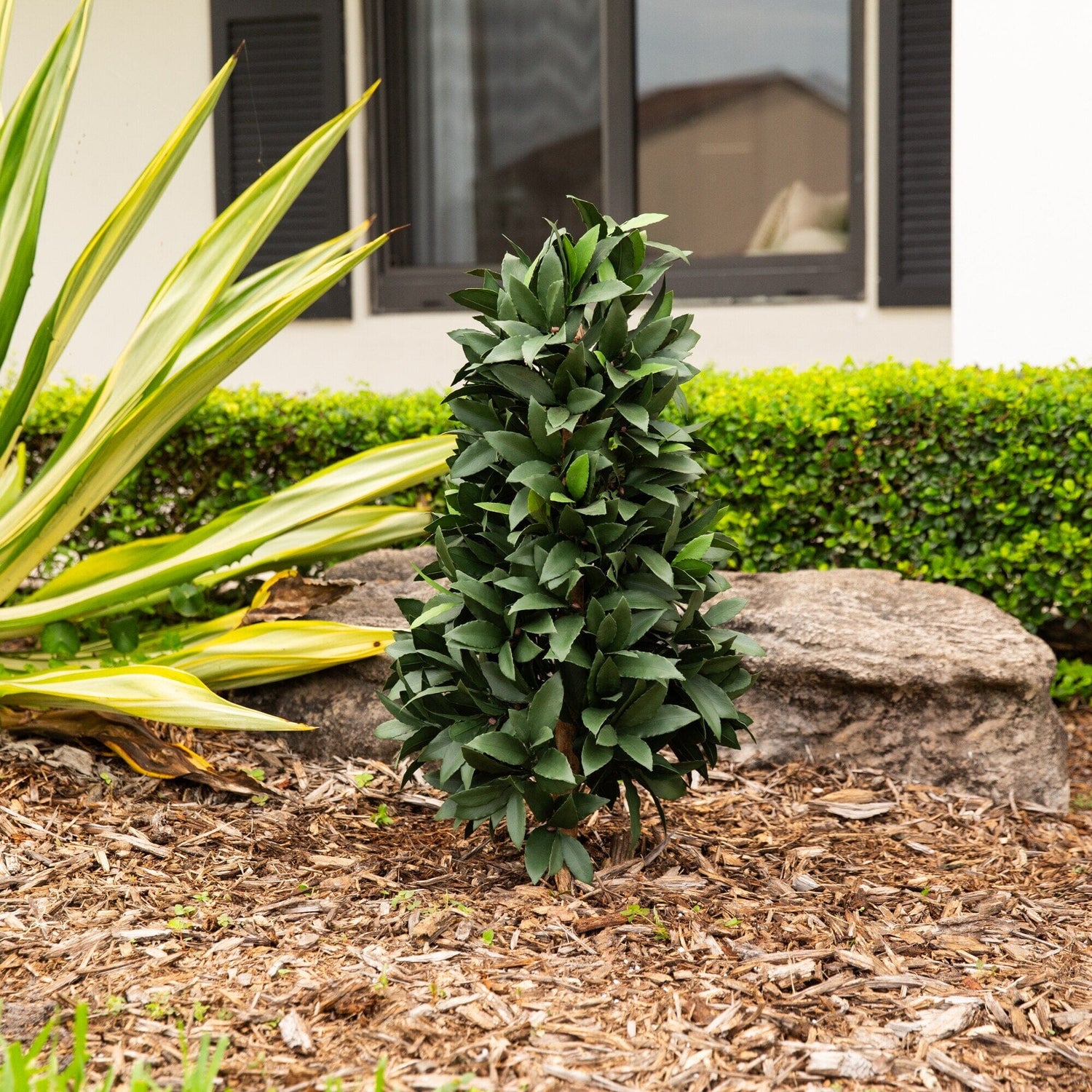 3' UV Resistant Artificial Laurel Plant with Integrated Ground Stake (Indoor/Outdoor)
