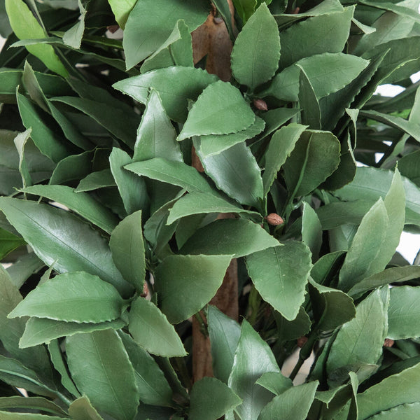 3' UV Resistant Artificial Laurel Plant with Integrated Ground Stake (Indoor/Outdoor)