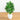 4’ Areca Artificial Palm Tree in White Planter