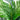 4’ Areca Artificial Palm Tree UV Resistant (Indoor/Outdoor)