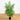 4' Areca Artificial Silk Palm Tree