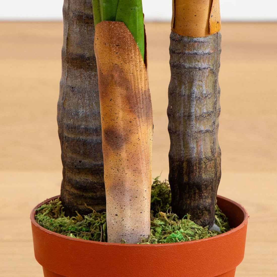 areca palm brown stem 4' Areca Palm Tree (Real Touch)