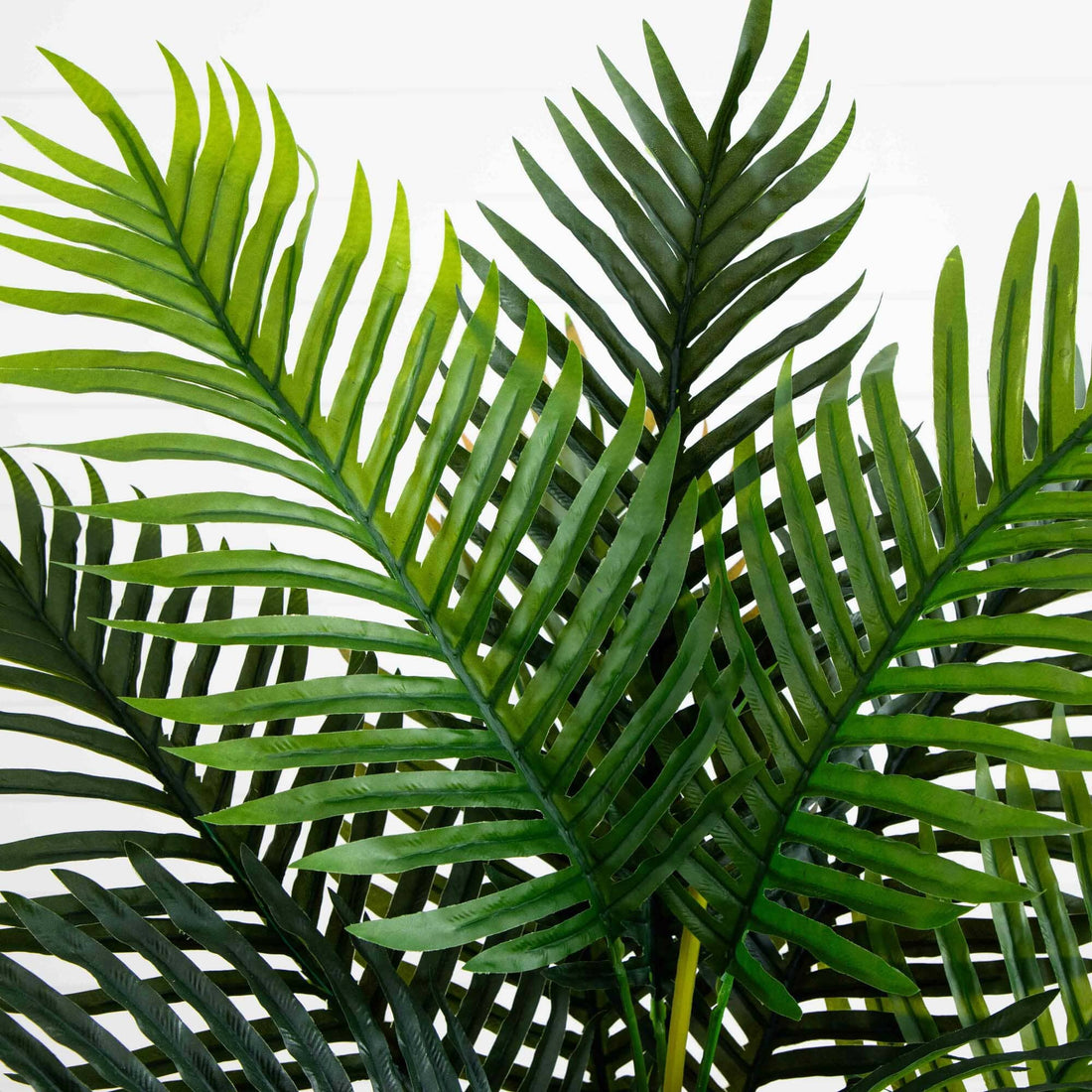 palm plant real 4' Areca Palm Tree (Real Touch)