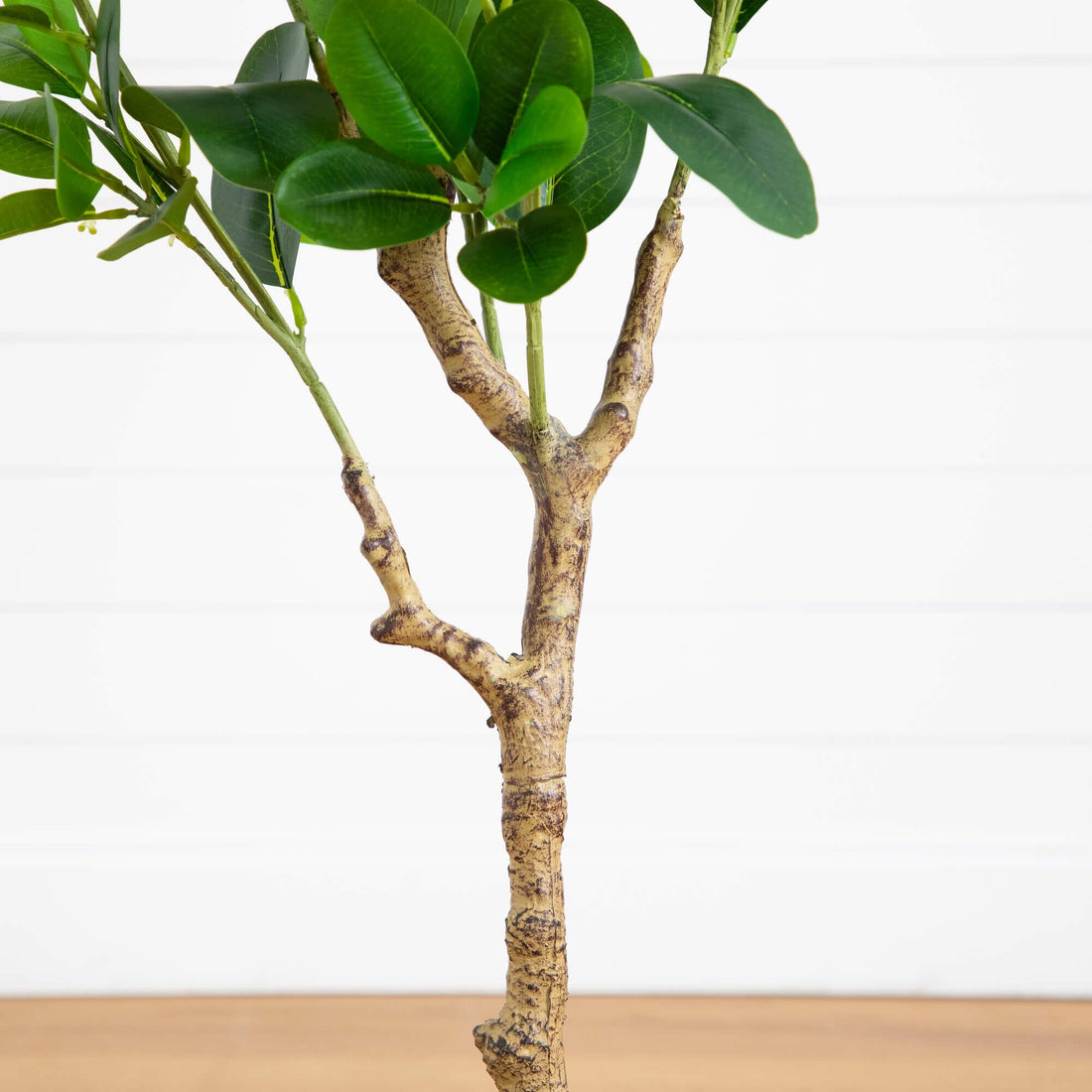 ficus audrey faux 4' Artificial Audrey Ficus Tree