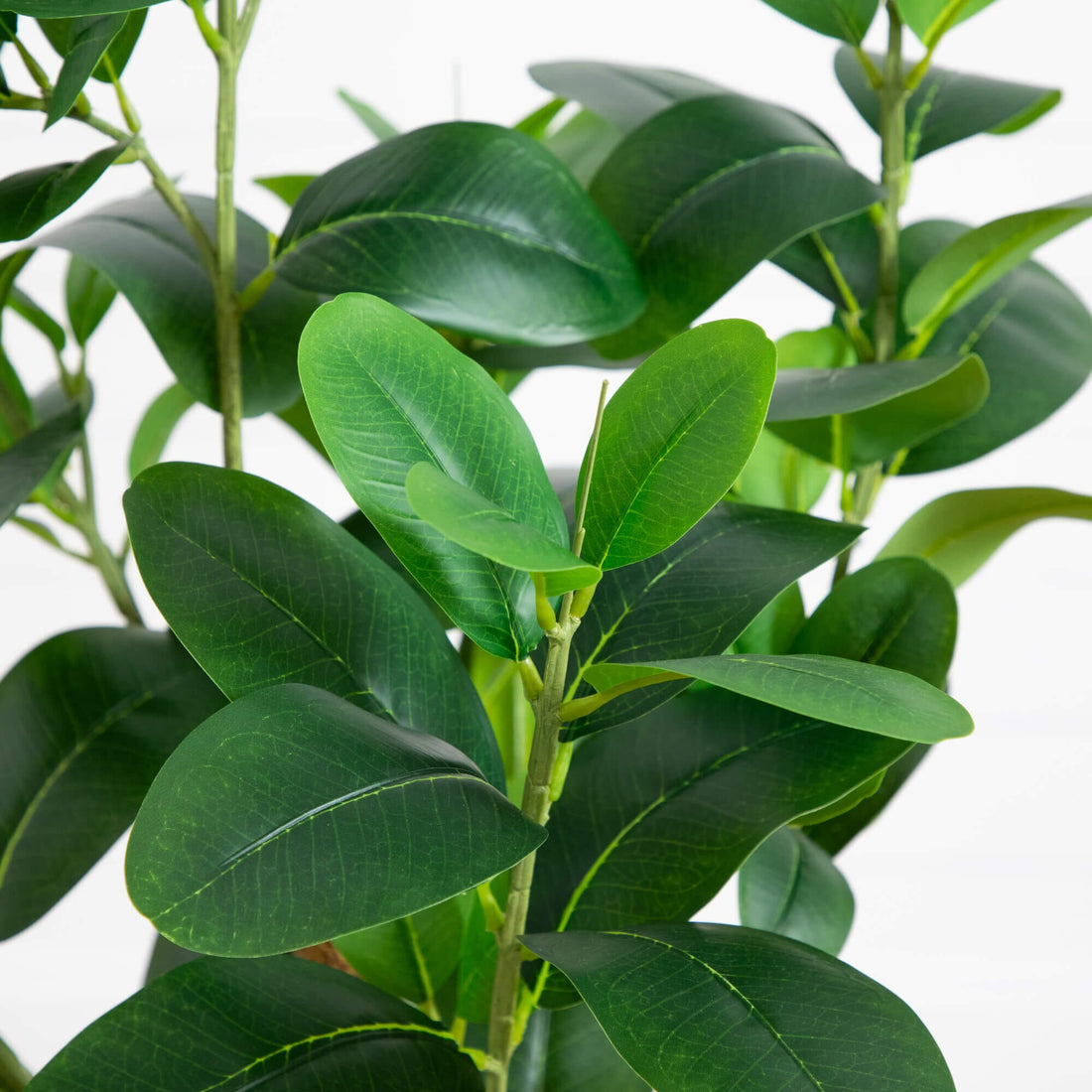 fake ficus audrey 4' Artificial Audrey Ficus Tree