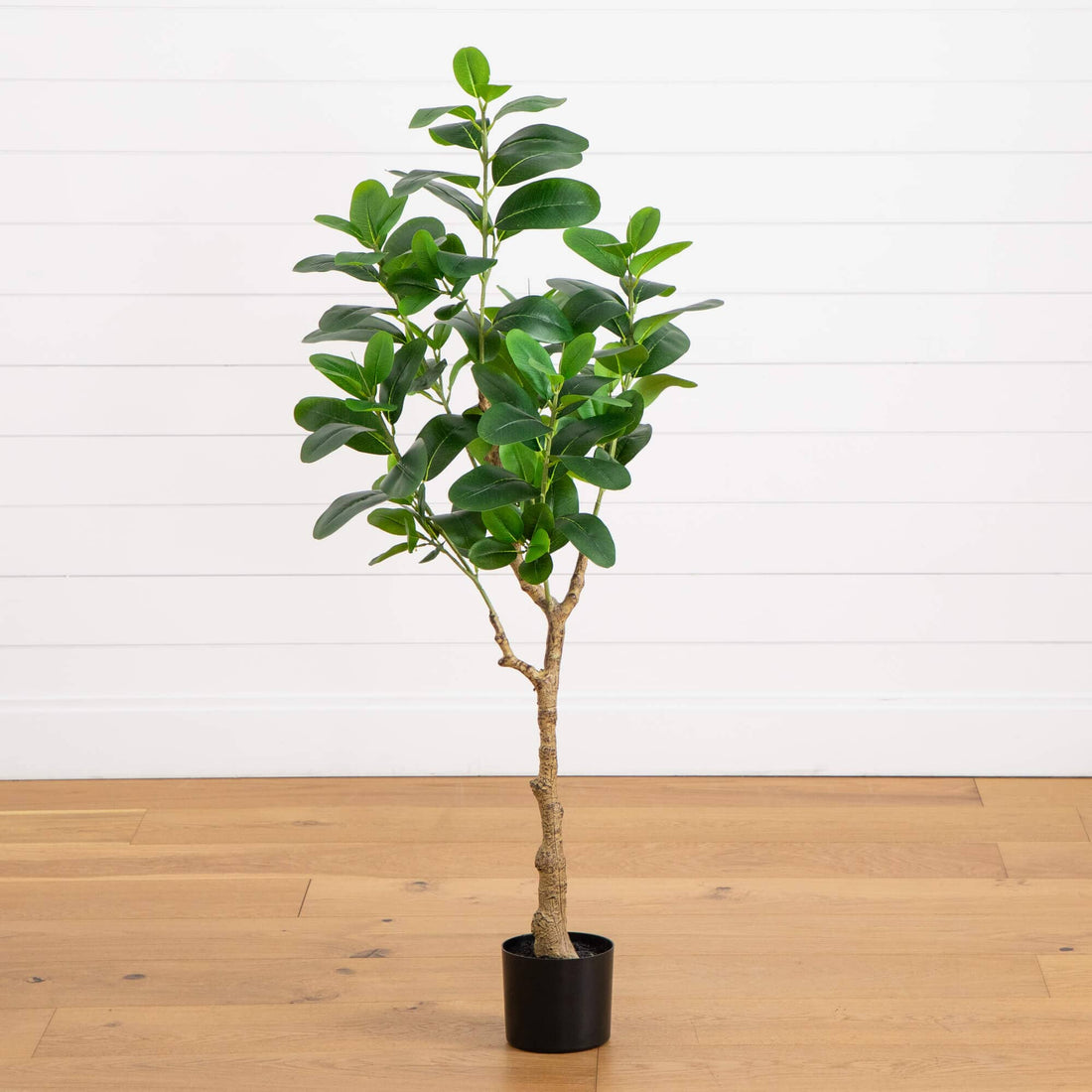 ficus audrey plant 4’ Artificial Audrey Ficus Tree