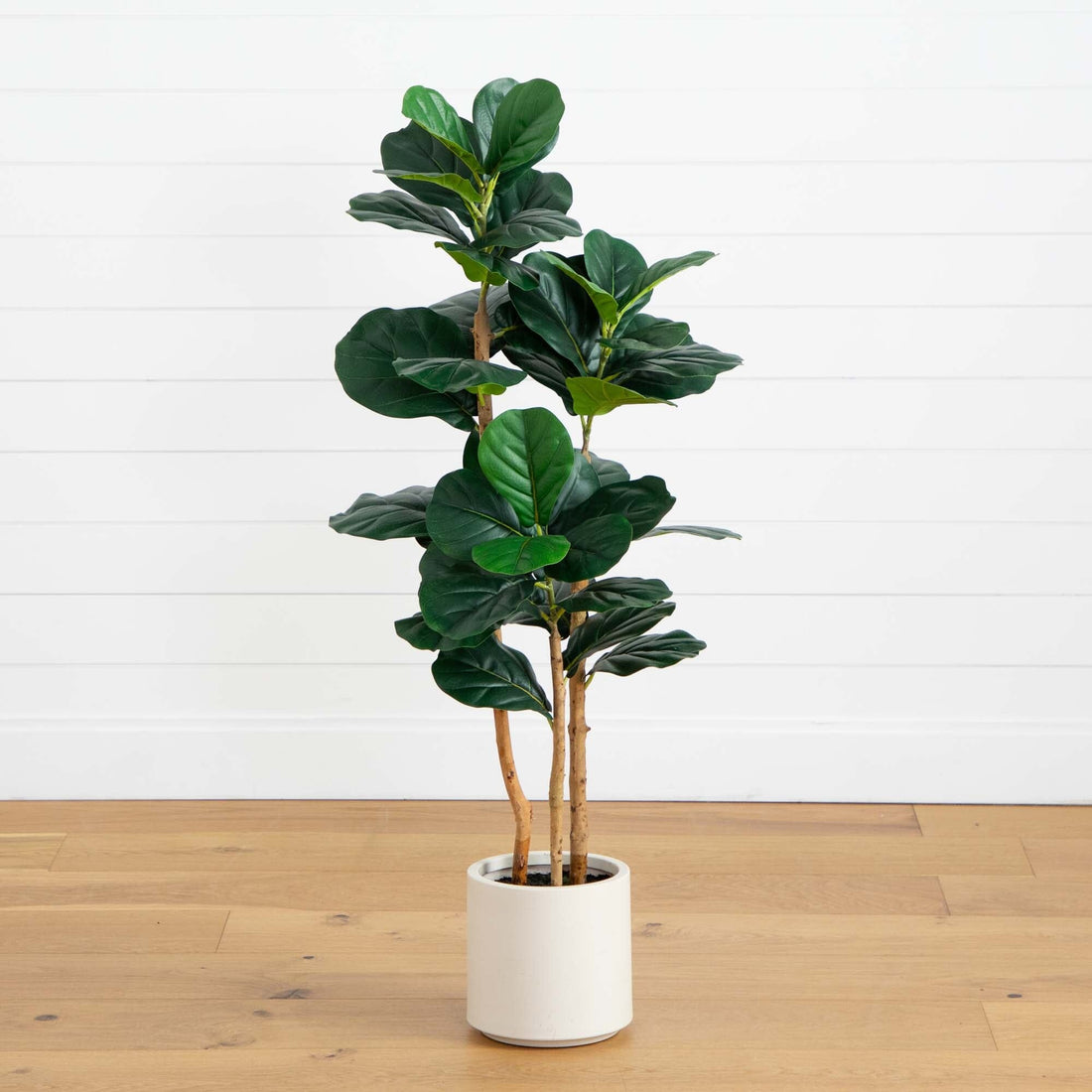 4' fiddle leaf fig tree 4’ Artificial Fiddle Leaf Tree in Decorative White Planter